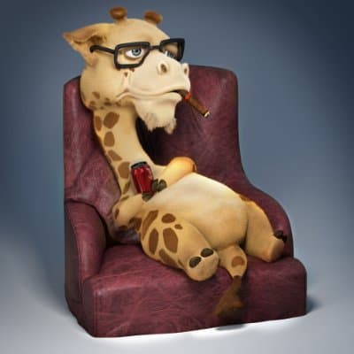 RaneeMulready avatar